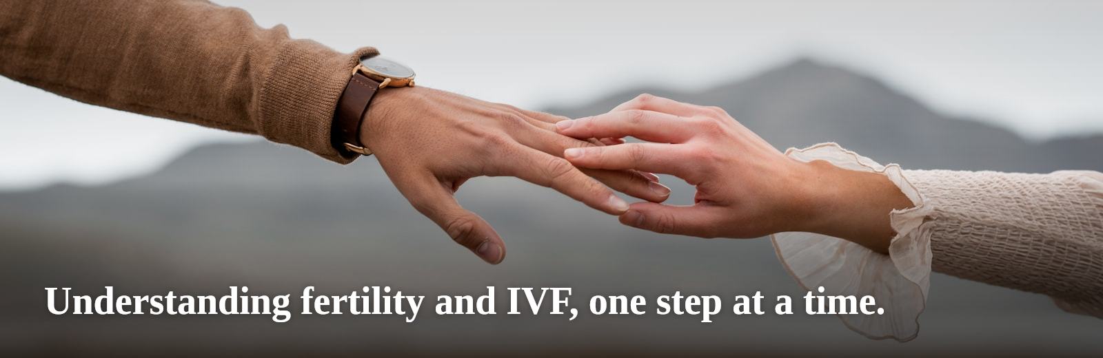 Understanding fertility and IVF, one step at a time.